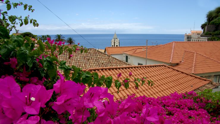 Blick über die Dächer Madeiras